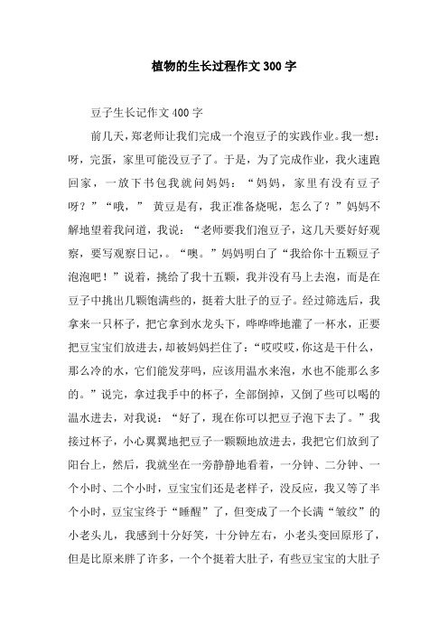 观察日记350字植物 - 百度文库