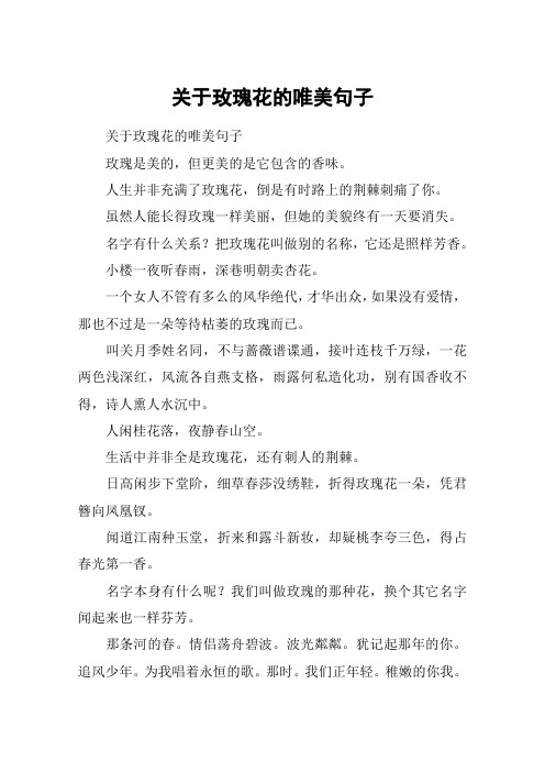 关于玫瑰花的唯美句子 关于玫瑰花的唯美句子玫瑰是美的,但更美的是它