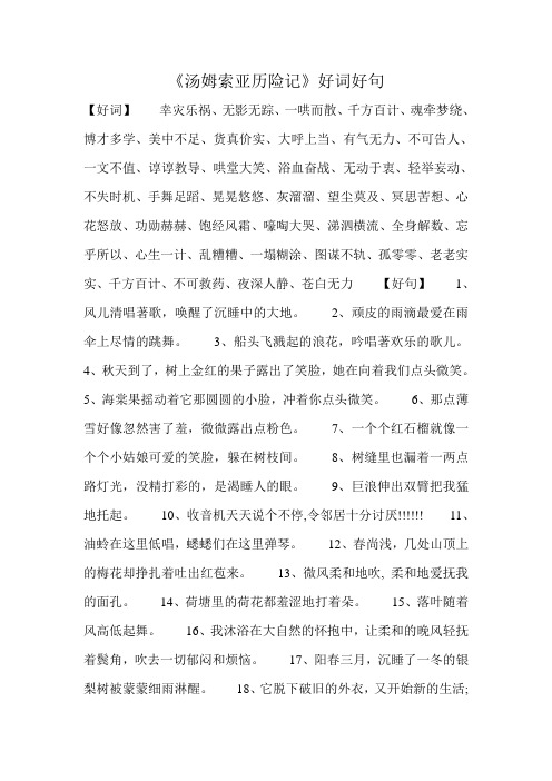 《汤姆索亚历险记》好词好句 【好词】幸灾乐祸,无影无踪,一哄而散