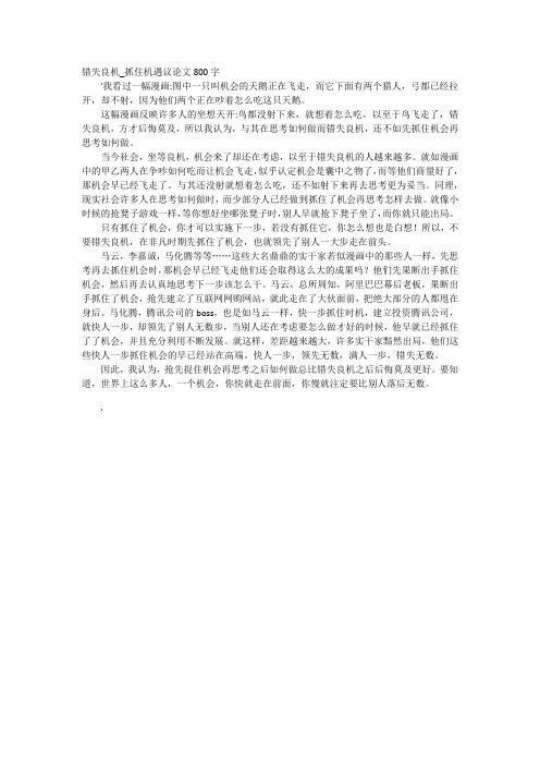 我看过一幅漫画:图中一只叫机会的天鹅正在飞走,而它下面有两个猎人