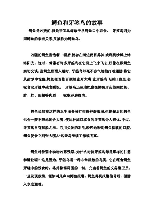 鳄鱼和牙签鸟的故事 鳄鱼是凶残的,但是牙签鸟却敢于从鳄鱼口中取食.