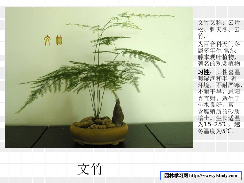 适生于 排水良好,富含