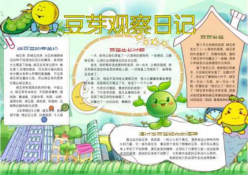 豆芽生长过程手抄报 - 百度文库