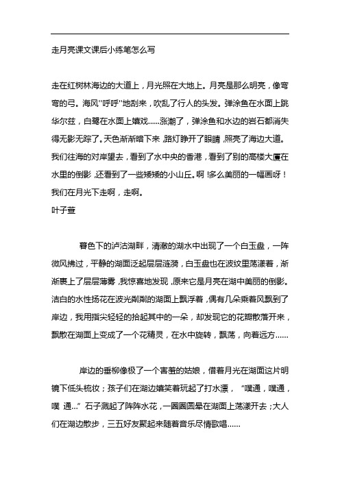 走月亮课文课后小练笔怎么写 走在红树林海边的大道上,月光照在大地上