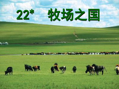 之 国 风车之国 欣赏 风车之国 牧场之国 牧场之国 荷兰,是水之国,花