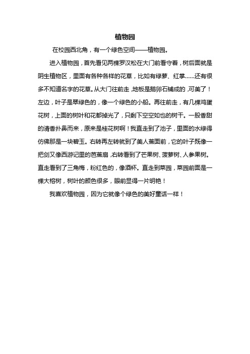进入植物园,首先看见两棵罗汉松在大门前看守着,树后面就是阴生植物区