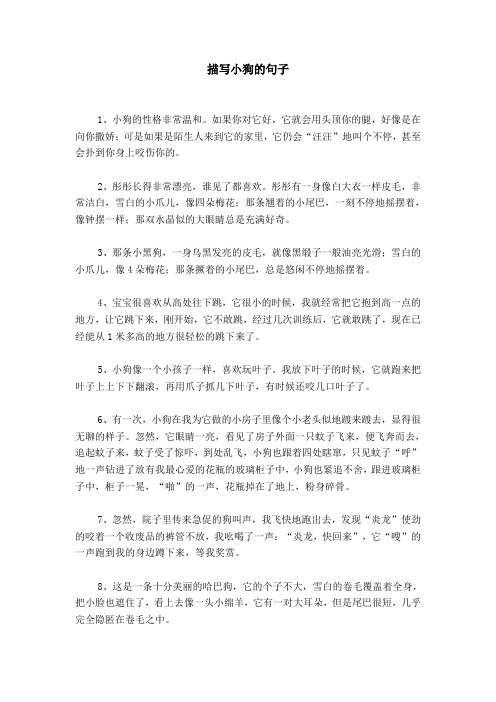 描写小狗的句子 1,小狗的性格非常温和.