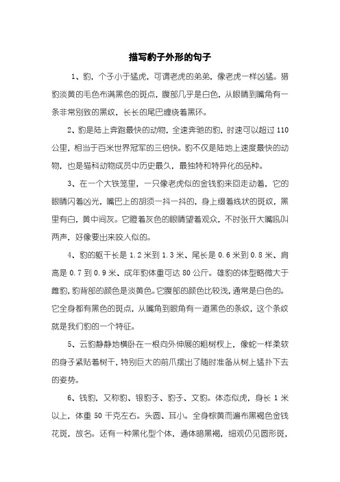 猎豹淡黄的毛色布满黑色的斑点,腹部几乎是白色,从