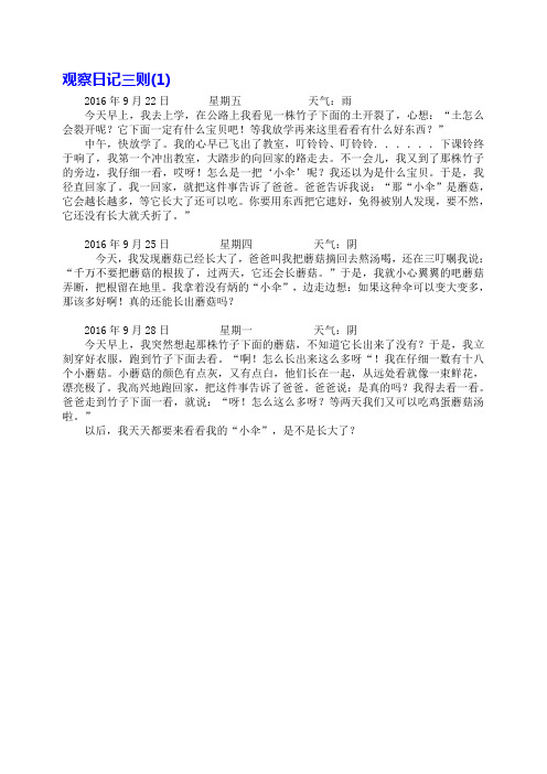 上学的早上日记(早上去学校上学日记250字)