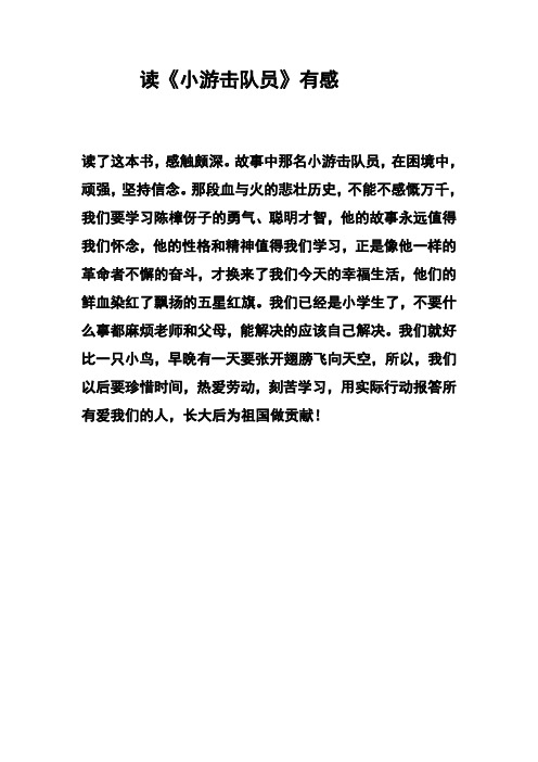 小游击队员读后感 - 百度文库