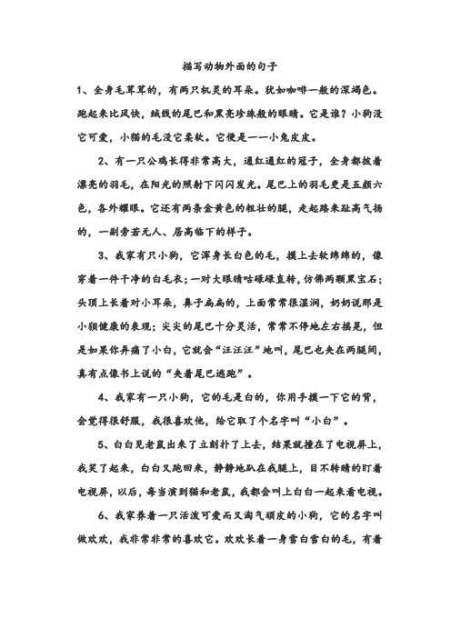 它是誰?小狗沒它可愛,小貓的毛沒它柔軟.它便是一一小兔皮皮.