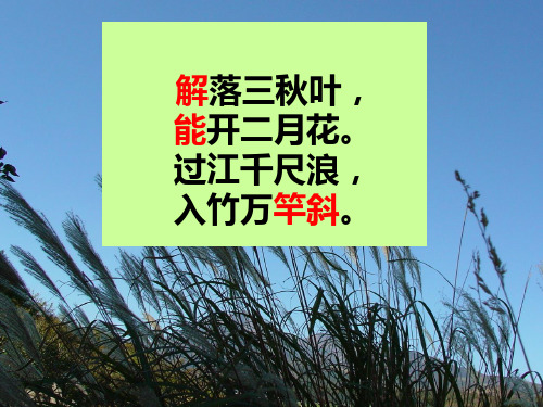 解落三秋叶 能开二月花 过江千尺浪 入竹万竿斜.