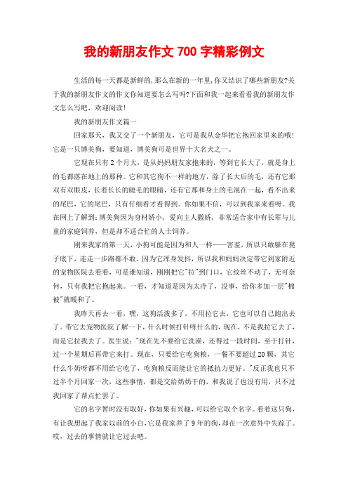 我的新朋友作文600字 - 百度文库