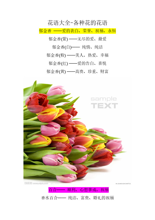 花语大全-各种花的花语 郁金香—爱的表白,荣誉,祝福,永恒 郁金香