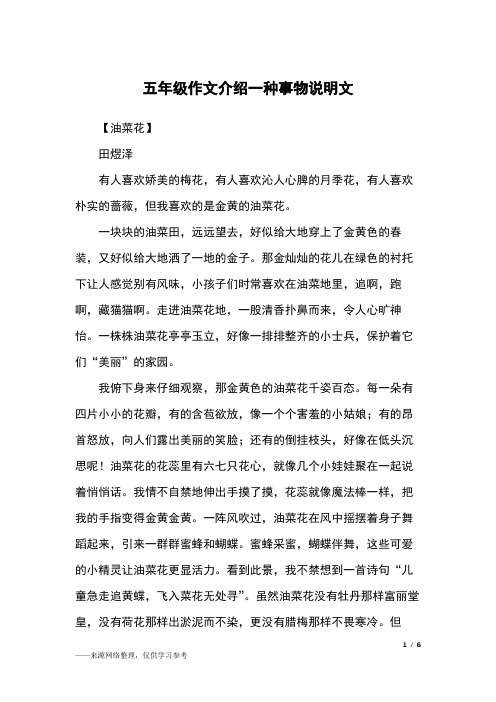 一块块的油菜田,远远望去,好似给大地穿上了金黄