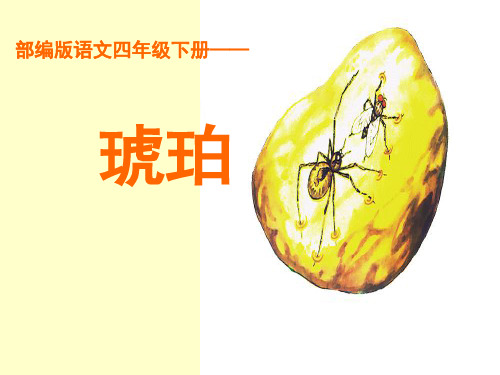 四年级下册琥珀 - 百度文库