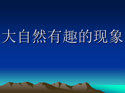 大自然有趣的現象 目錄 吃貓的老鼠 捕食昆蟲的草科植物 開