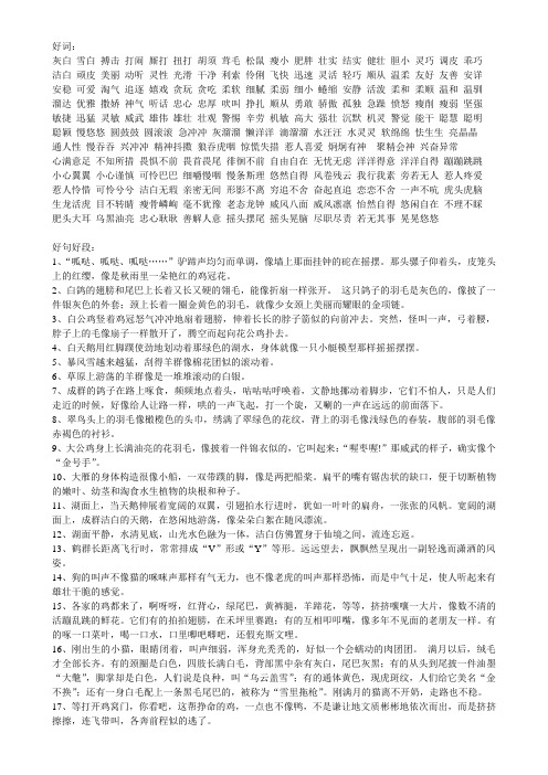 好词:灰白雪白搏击打闹厮打扭打胡须茸毛松鼠瘦小肥胖