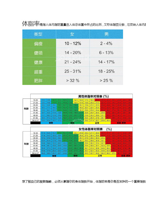 体脂率怎么计算公式 - 百度文库