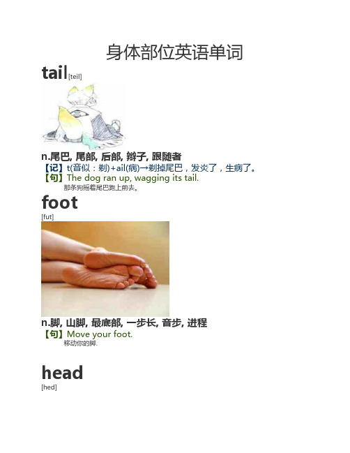 尾巴英语 - 百度文库