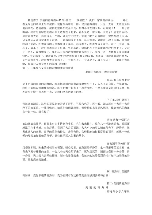 快到青海湖时,只见一大片一大片金灿灿的油菜花,特别漂亮,成群的蜜蜂