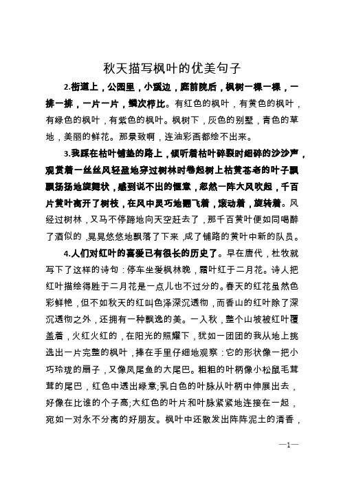 秋天描写枫叶的优美句子 2.