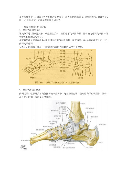 一:踝关节的功能解剖分析 1,踝关节解剖学分析 踝关节又称距小腿关节