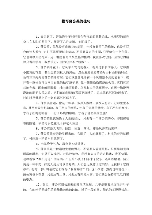 描写蒲公英的句子 - 百度文库