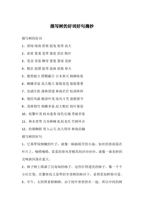 描写树的好词1,碧绿绿涛舒展摇曳俊秀高大2,浓密葱