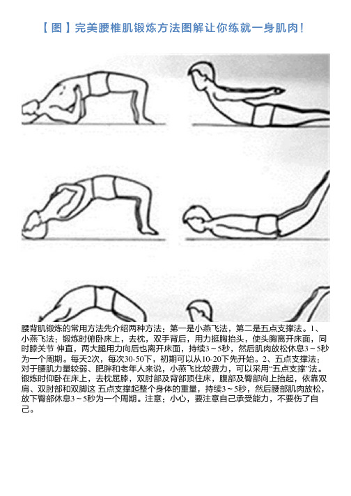 【图】完美腰椎肌锻炼方法图解让你练就一身肌肉!