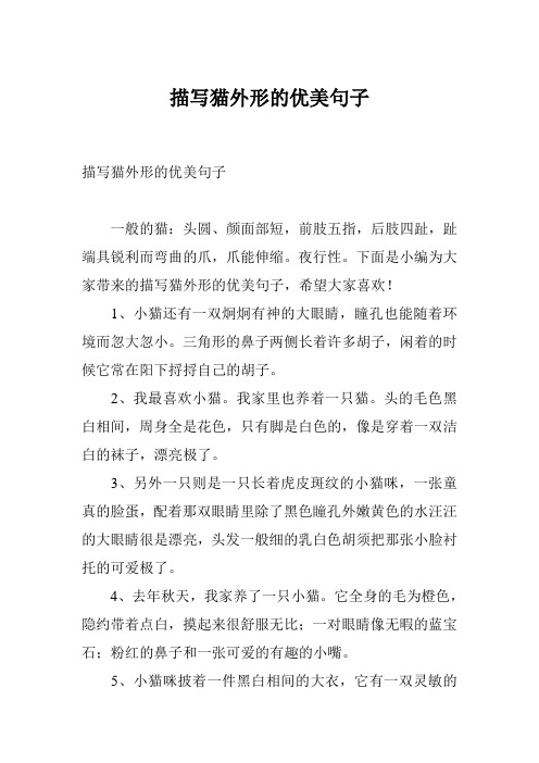 描写小猫的优美句子 - 百度文库