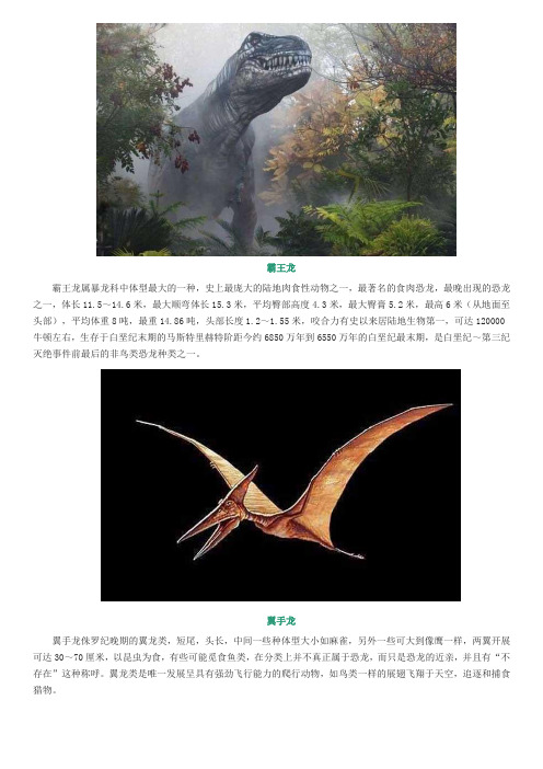 霸王龙 霸王龙属暴龙科中体型最大的一种,史上最庞大的陆地肉食性动物