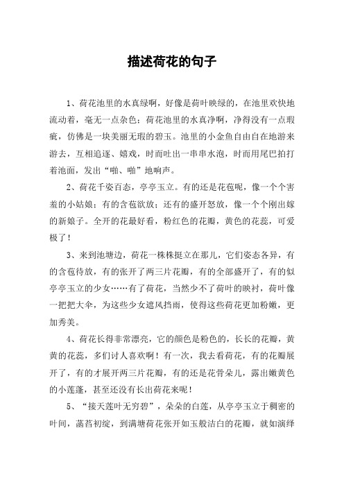 描述荷花的句子 1,荷花池里的水真绿啊,好像是荷叶映绿的,在池里欢快