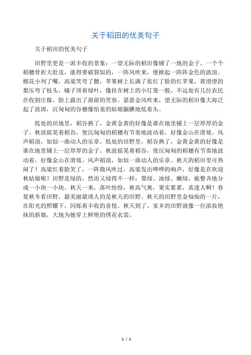 关于稻田的优美句子 田野里更是一派丰收的景象:一望无际的稻田像铺了