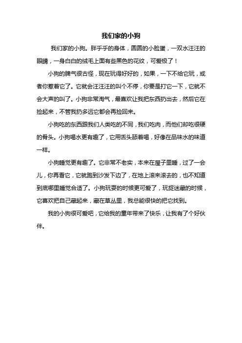 小狗动物作文350字 - 百度文库