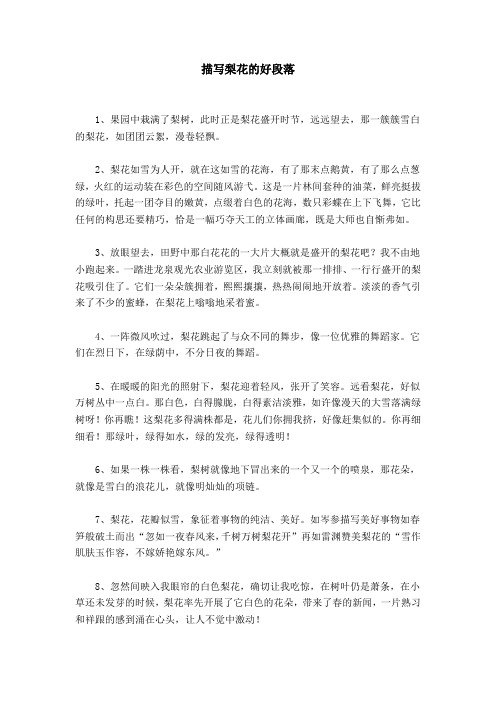 关于梨花的描写梨花的句子 - 百度文库