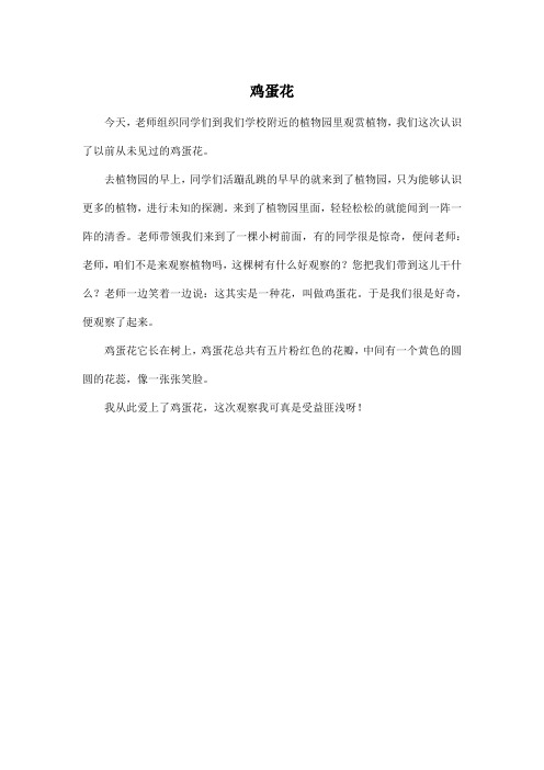 我们这次认识了以前从未见过的鸡蛋花