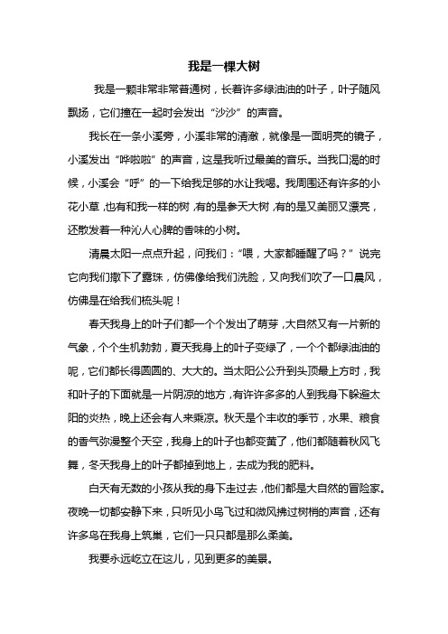    六年级作文:我是一棵大树作文