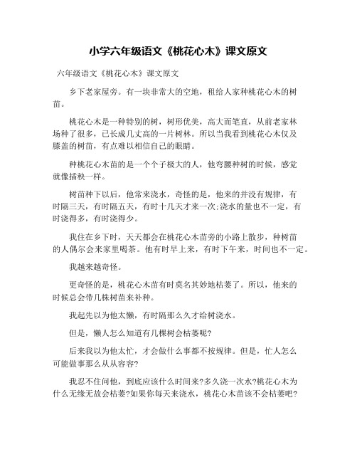 桃花心木课文 - 百度文库