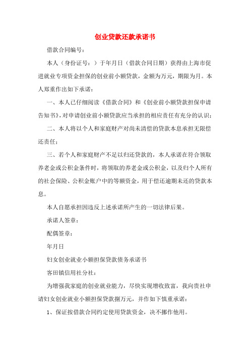 创业贷款怎么申请延期还款手续流程(创业贷款怎么申请延期还款手续流程图)