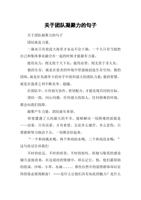 关于团队凝聚力的句子 关于团队凝聚力的句子团结就是力量.