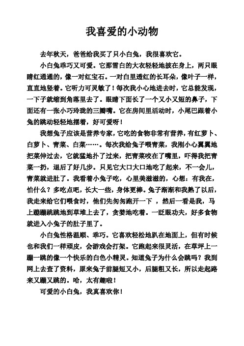 我的心爱之物小白兔五年级作文 - 百度文库