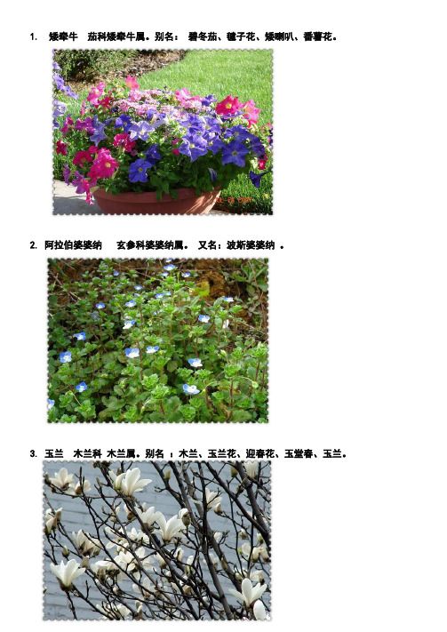 植物名字 百度文库