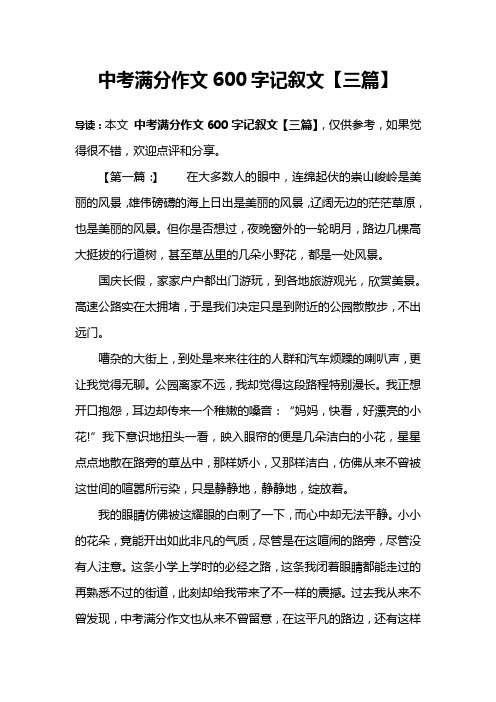 十篇600字优秀作文记叙文