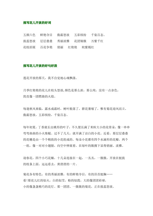 拔蕊怒放层层叠叠秀丽淡雅花团锦簇万紫千红花枝招展百花争艳俏丽红