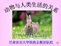 主讲老师:白平厚 甘肃农业大学临洮支教团队组 动物与人类的关系 人类