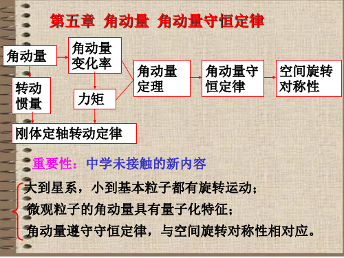 第五章 角动量 角动量守恒定律 角动量 转动 惯量 角动量 变化率 力矩