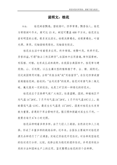 说明文:桂花 导读:桂花树姿飘逸,碧枝绿叶,四季常青,飘香怡人.