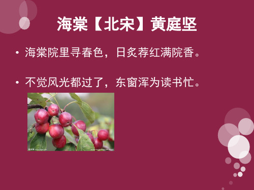 海棠【北宋】黄庭坚 海棠院里寻春色,日炙荐红满院香.