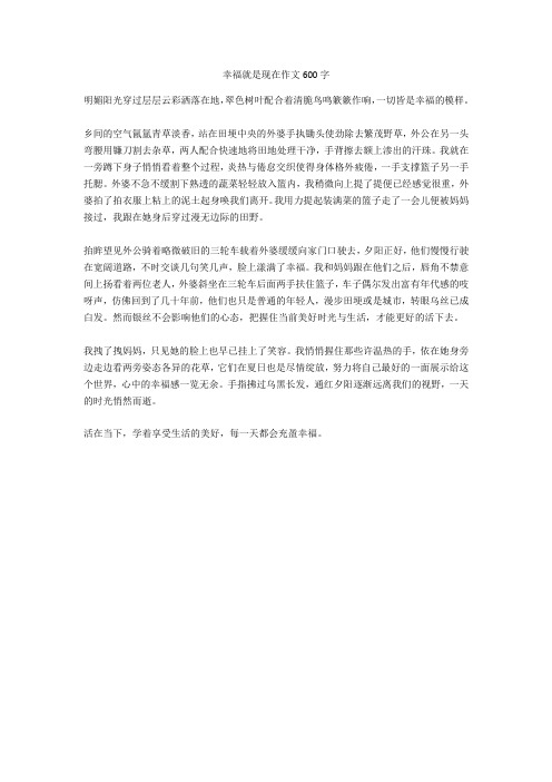 幸福的约束作文600字 - 百度文库